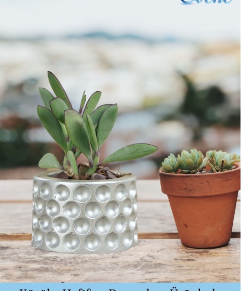 Mini Çiçek Saksı Küçük Sukulent Gümüş Kaktüs Saksısı 3lü Set Puantiyeli Model